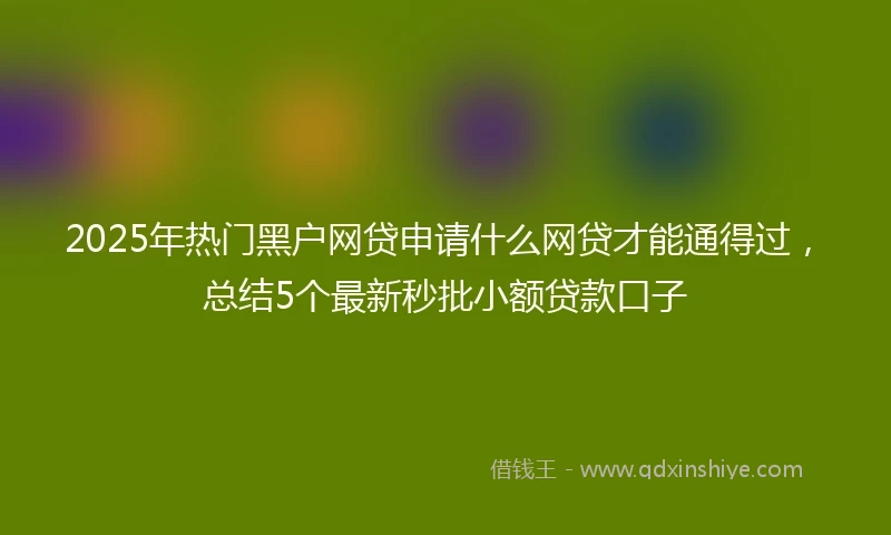 2025年热门黑户网贷申请什么网贷才能通得过，总结5个最新秒批小额贷款口子