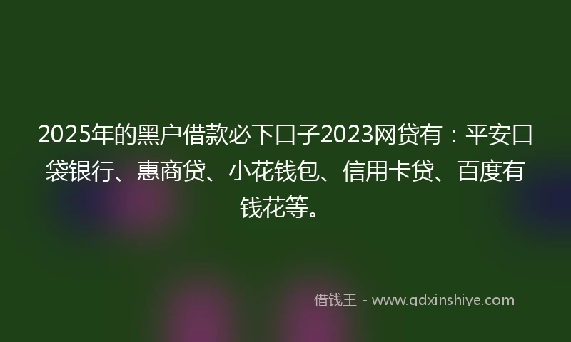2025年的黑户借款必下口子2023网贷有：平安口袋银行、惠商贷、小花钱包、信用卡贷、百度有钱花等。