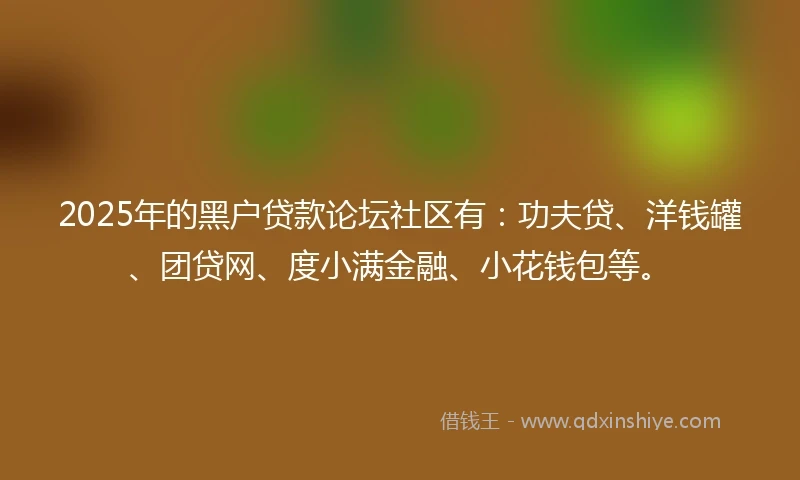 2025年的黑户贷款论坛社区有：功夫贷、洋钱罐、团贷网、度小满金融、小花钱包等。