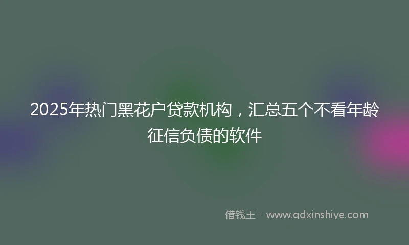 2025年热门黑花户贷款机构，汇总五个不看年龄征信负债的软件