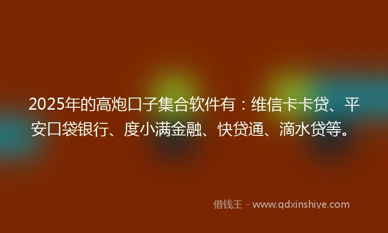 2025年的高炮口子集合软件有：维信卡卡贷、平安口袋银行、度小满金融、快贷通、滴水贷等。