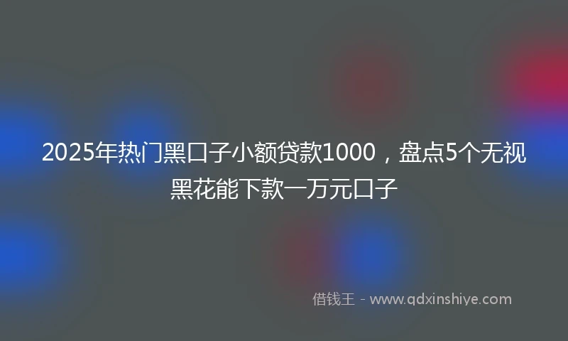 2025年热门黑口子小额贷款1000，盘点5个无视黑花能下款一万元口子