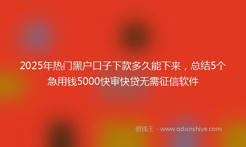 2025年热门黑户口子下款多久能下来，总结5个急用钱5000快审快贷无需征信软件