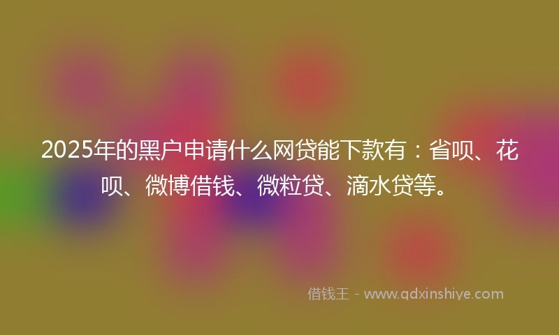 2025年的黑户申请什么网贷能下款有：省呗、花呗、微博借钱、微粒贷、滴水贷等。