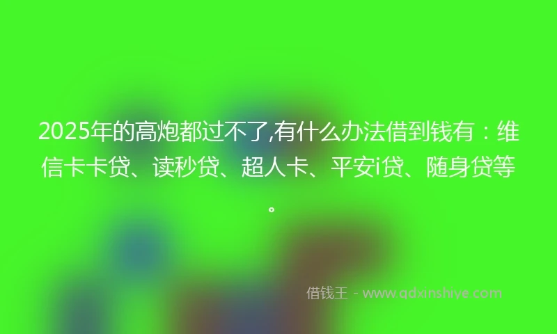 2025年的高炮都过不了,有什么办法借到钱有：维信卡卡贷、读秒贷、超人卡、平安i贷、随身贷等。