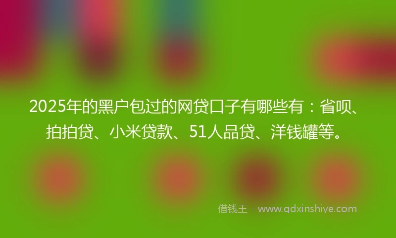 2025年的黑户包过的网贷口子有哪些有：省呗、拍拍贷、小米贷款、51人品贷、洋钱罐等。
