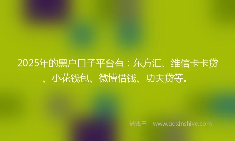 2025年的黑户口子平台有：东方汇、维信卡卡贷、小花钱包、微博借钱、功夫贷等。
