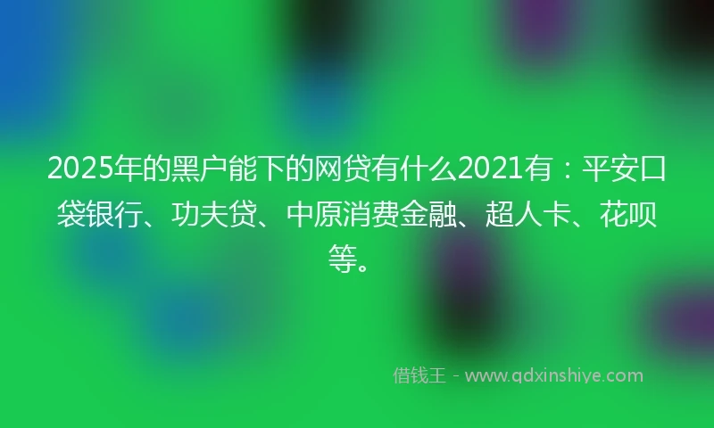 2025年的黑户能下的网贷有什么2021有：平安口袋银行、功夫贷、中原消费金融、超人卡、花呗等。