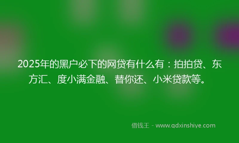 2025年的黑户必下的网贷有什么有：拍拍贷、东方汇、度小满金融、替你还、小米贷款等。