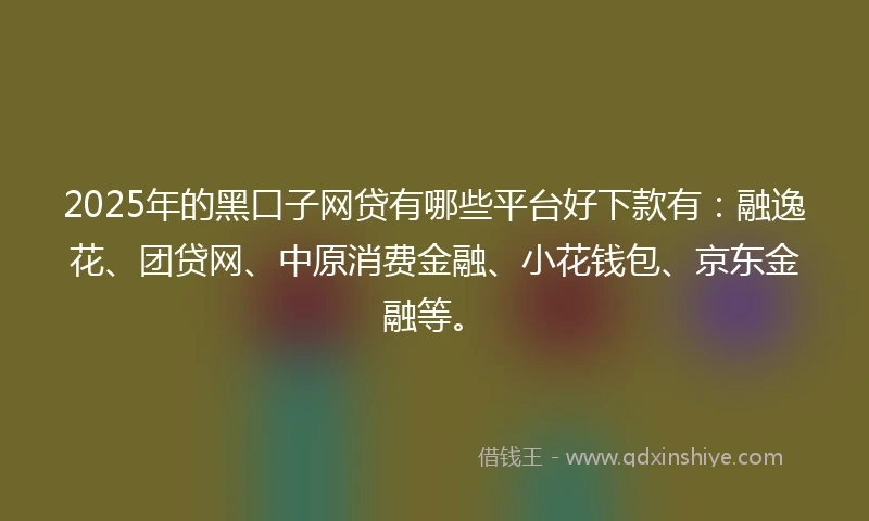2025年的黑口子网贷有哪些平台好下款有：融逸花、团贷网、中原消费金融、小花钱包、京东金融等。