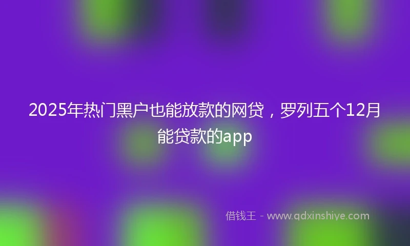 2025年热门黑户也能放款的网贷，罗列五个12月能贷款的app