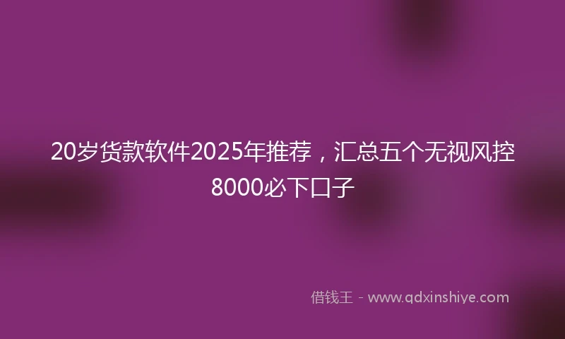 20岁货款软件2025年推荐，汇总五个无视风控8000必下口子