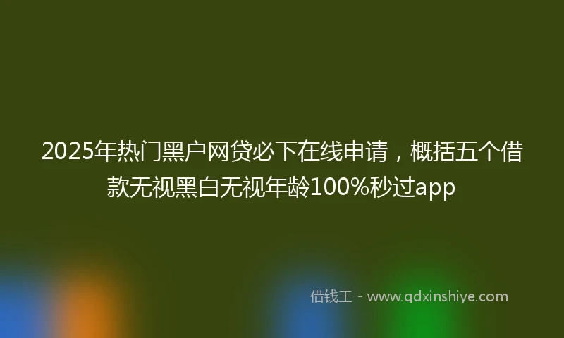 2025年热门黑户网贷必下在线申请，概括五个借款无视黑白无视年龄100%秒过app