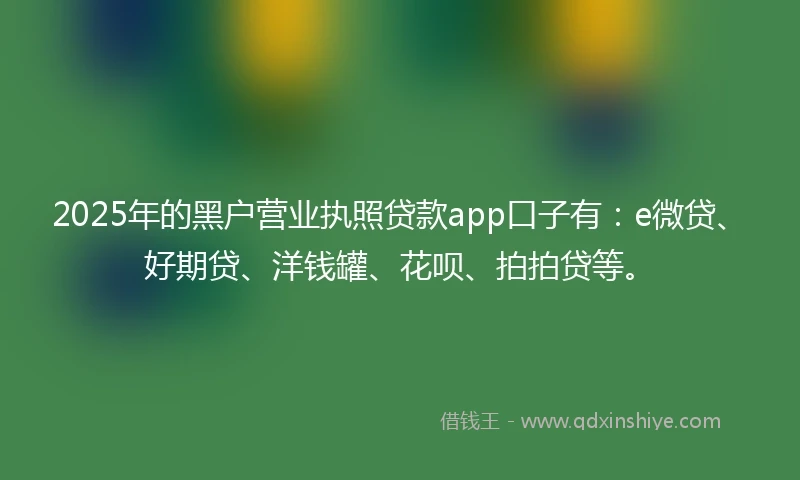 2025年的黑户营业执照贷款app口子有：e微贷、好期贷、洋钱罐、花呗、拍拍贷等。
