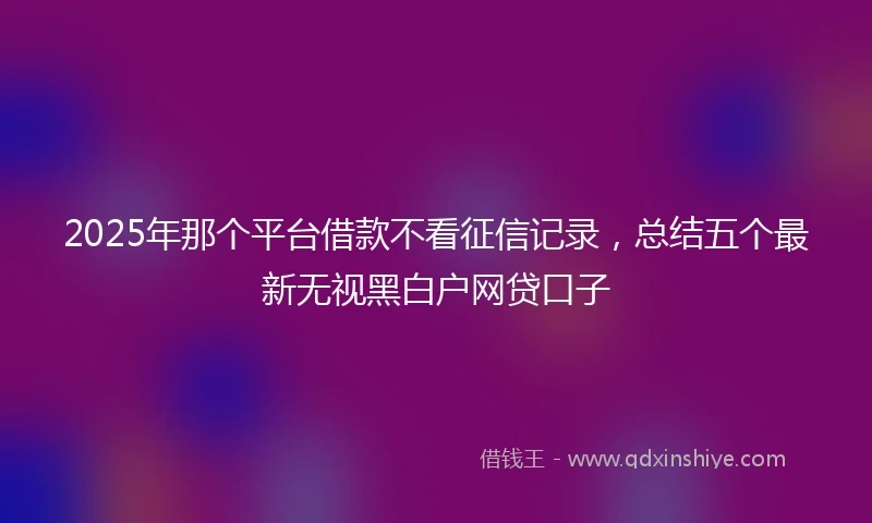 2025年那个平台借款不看征信记录，总结五个最新无视黑白户网贷口子