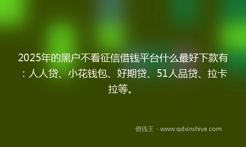 2025年的黑户不看征信借钱平台什么最好下款有：人人贷、小花钱包、好期贷、51人品贷、拉卡拉等。