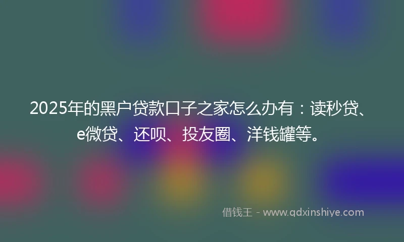 2025年的黑户贷款口子之家怎么办有：读秒贷、e微贷、还呗、投友圈、洋钱罐等。