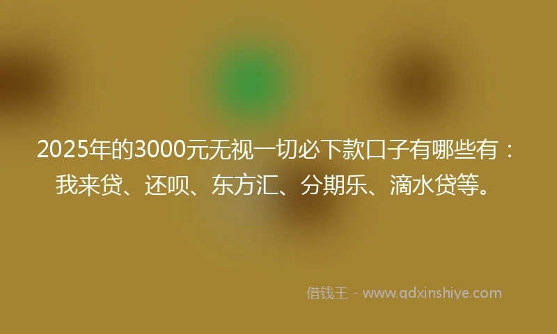 2025年的3000元无视一切必下款口子有哪些有：我来贷、还呗、东方汇、分期乐、滴水贷等。