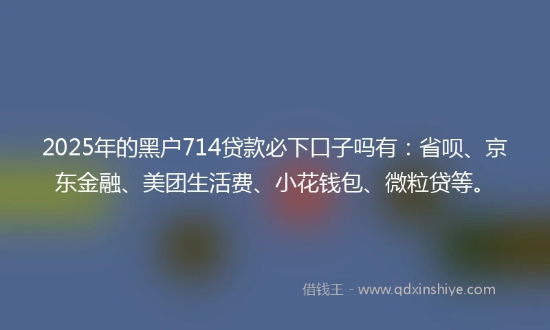 2025年的黑户714贷款必下口子吗有：省呗、京东金融、美团生活费、小花钱包、微粒贷等。