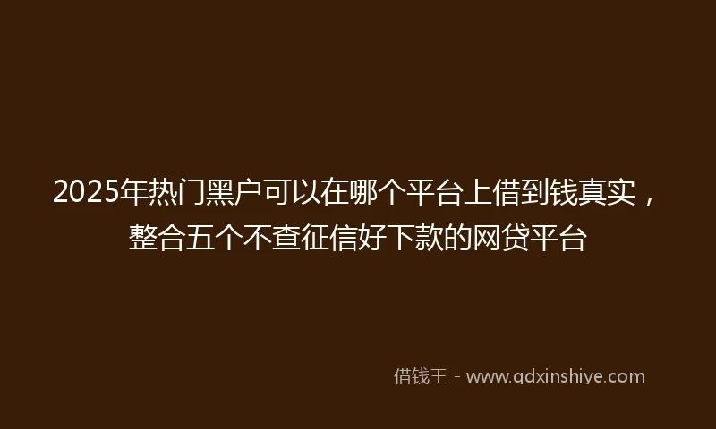 2025年热门黑户可以在哪个平台上借到钱真实，整合五个不查征信好下款的网贷平台