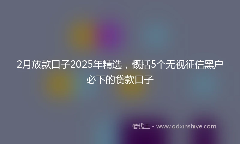 2月放款口子2025年精选，概括5个无视征信黑户必下的贷款口子