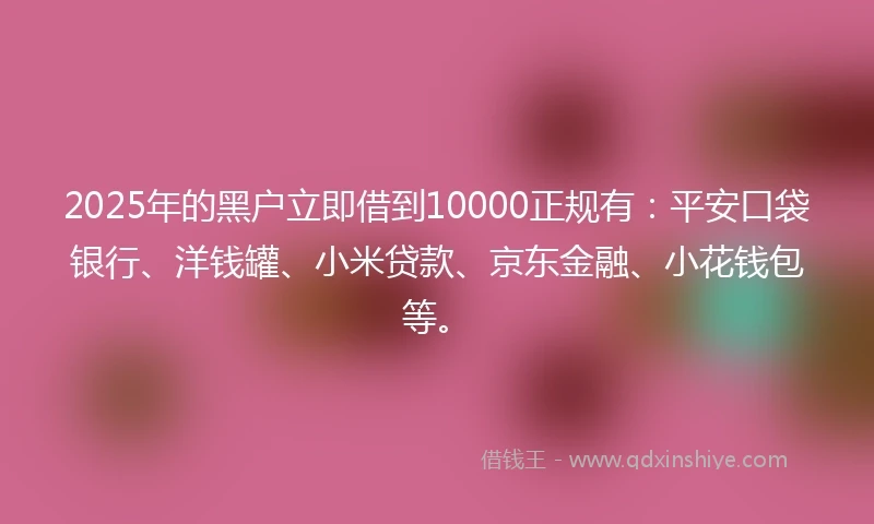 2025年的黑户立即借到10000正规有：平安口袋银行、洋钱罐、小米贷款、京东金融、小花钱包等。