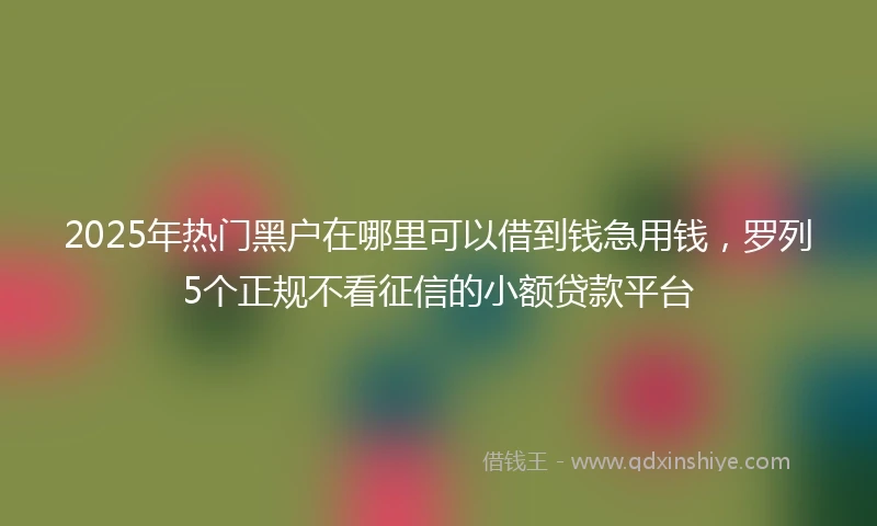 2025年热门黑户在哪里可以借到钱急用钱，罗列5个正规不看征信的小额贷款平台