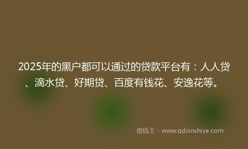 2025年的黑户都可以通过的贷款平台有：人人贷、滴水贷、好期贷、百度有钱花、安逸花等。