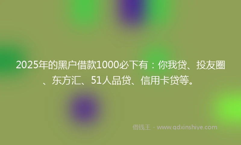 2025年的黑户借款1000必下有：你我贷、投友圈、东方汇、51人品贷、信用卡贷等。