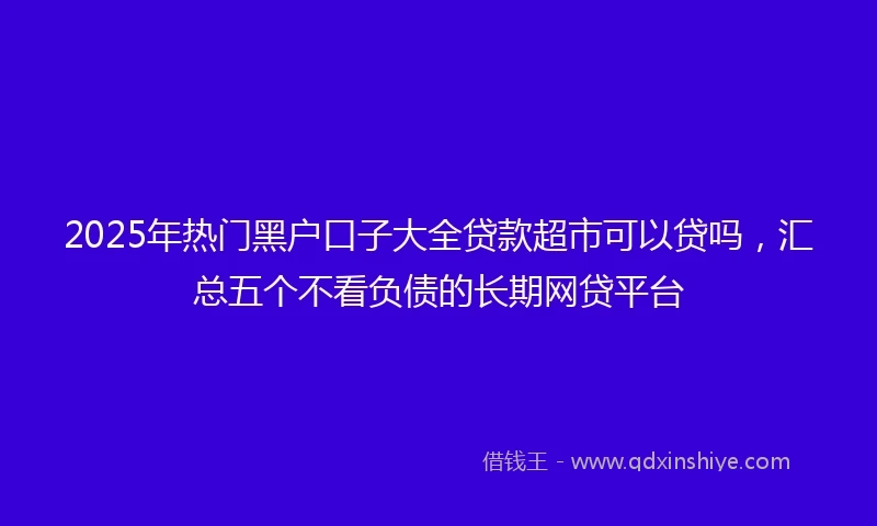 2025年热门黑户口子大全贷款超市可以贷吗，汇总五个不看负债的长期网贷平台