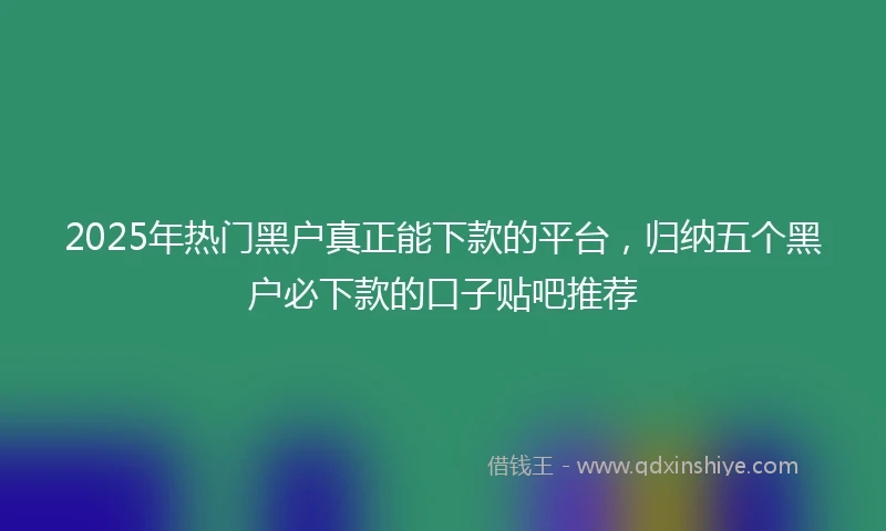 2025年热门黑户真正能下款的平台，归纳五个黑户必下款的口子贴吧推荐