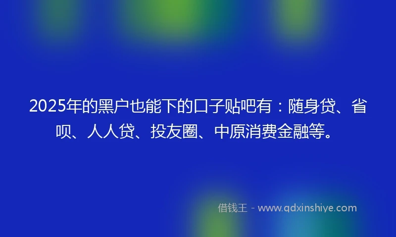 2025年的黑户也能下的口子贴吧有：随身贷、省呗、人人贷、投友圈、中原消费金融等。