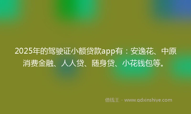 2025年的驾驶证小额贷款app有：安逸花、中原消费金融、人人贷、随身贷、小花钱包等。