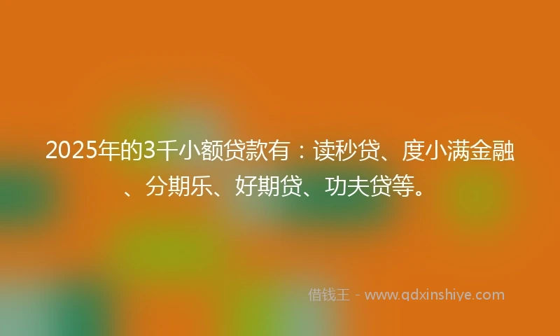 2025年的3千小额贷款有：读秒贷、度小满金融、分期乐、好期贷、功夫贷等。