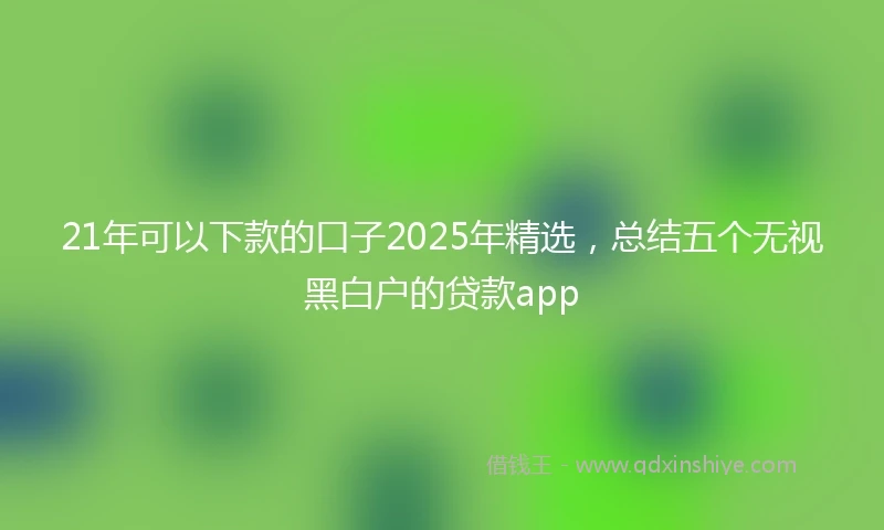 21年可以下款的口子2025年精选，总结五个无视黑白户的贷款app