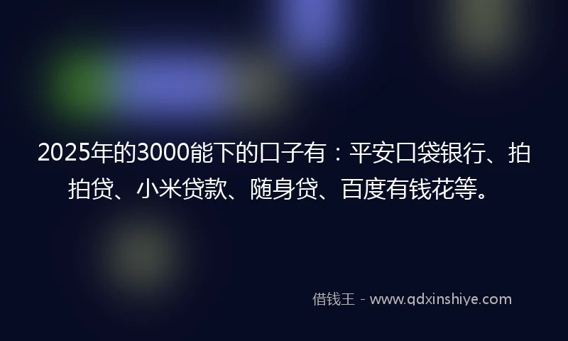 2025年的3000能下的口子有：平安口袋银行、拍拍贷、小米贷款、随身贷、百度有钱花等。