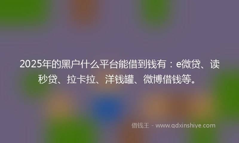 2025年的黑户什么平台能借到钱有：e微贷、读秒贷、拉卡拉、洋钱罐、微博借钱等。