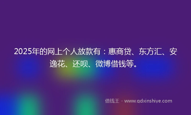 2025年的网上个人放款有：惠商贷、东方汇、安逸花、还呗、微博借钱等。