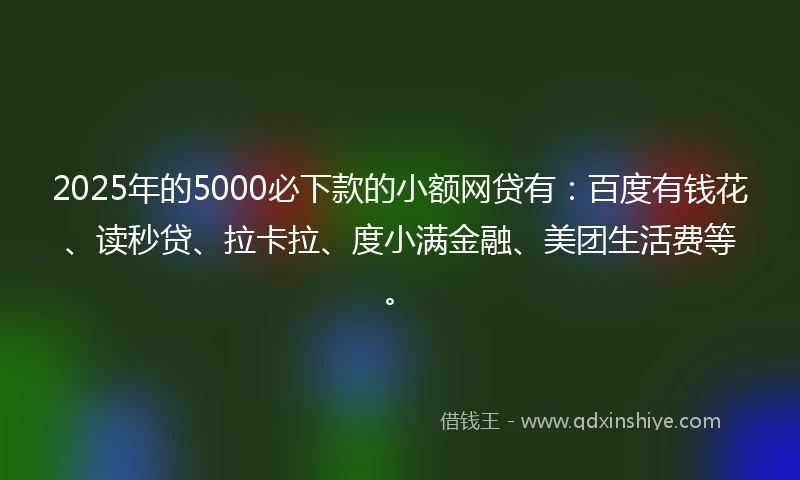 2025年的5000必下款的小额网贷有：百度有钱花、读秒贷、拉卡拉、度小满金融、美团生活费等。