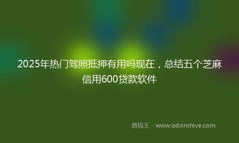 2025年热门驾照抵押有用吗现在，总结五个芝麻信用600贷款软件
