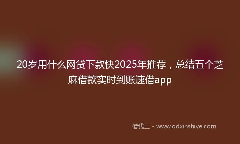 20岁用什么网贷下款快2025年推荐，总结五个芝麻借款实时到账速借app