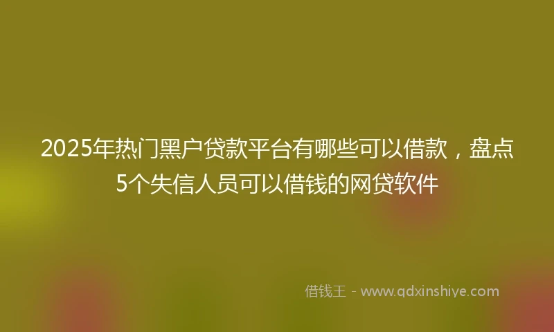 2025年热门黑户贷款平台有哪些可以借款，盘点5个失信人员可以借钱的网贷软件