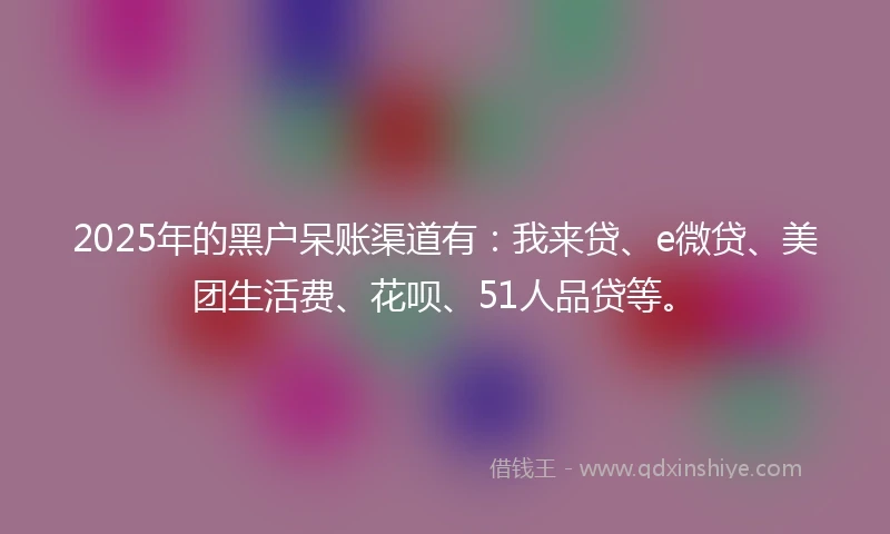 2025年的黑户呆账渠道有：我来贷、e微贷、美团生活费、花呗、51人品贷等。