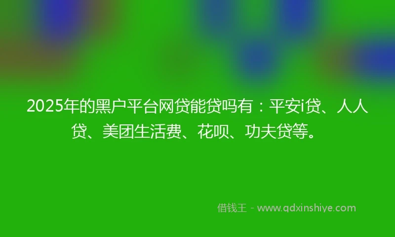 2025年的黑户平台网贷能贷吗有：平安i贷、人人贷、美团生活费、花呗、功夫贷等。