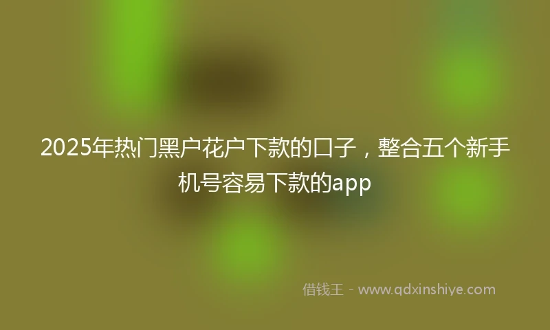 2025年热门黑户花户下款的口子，整合五个新手机号容易下款的app