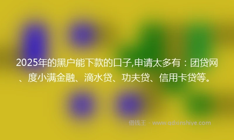 2025年的黑户能下款的口子,申请太多有：团贷网、度小满金融、滴水贷、功夫贷、信用卡贷等。