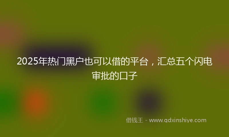 2025年热门黑户也可以借的平台，汇总五个闪电审批的口子