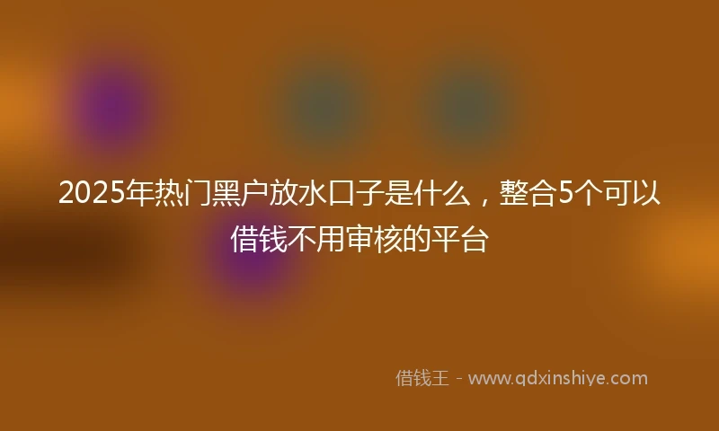 2025年热门黑户放水口子是什么，整合5个可以借钱不用审核的平台