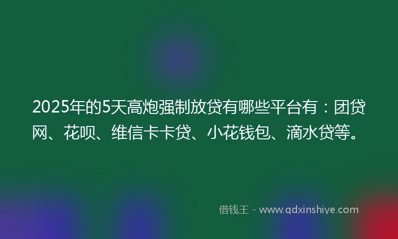 2025年的5天高炮强制放贷有哪些平台有:团贷网、花呗、维信卡卡贷、小花钱包、滴水贷等。