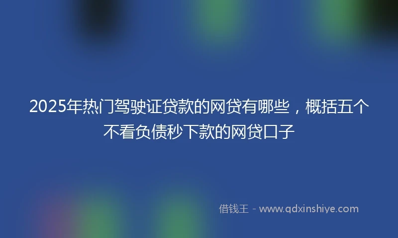 2025年热门驾驶证贷款的网贷有哪些，概括五个不看负债秒下款的网贷口子